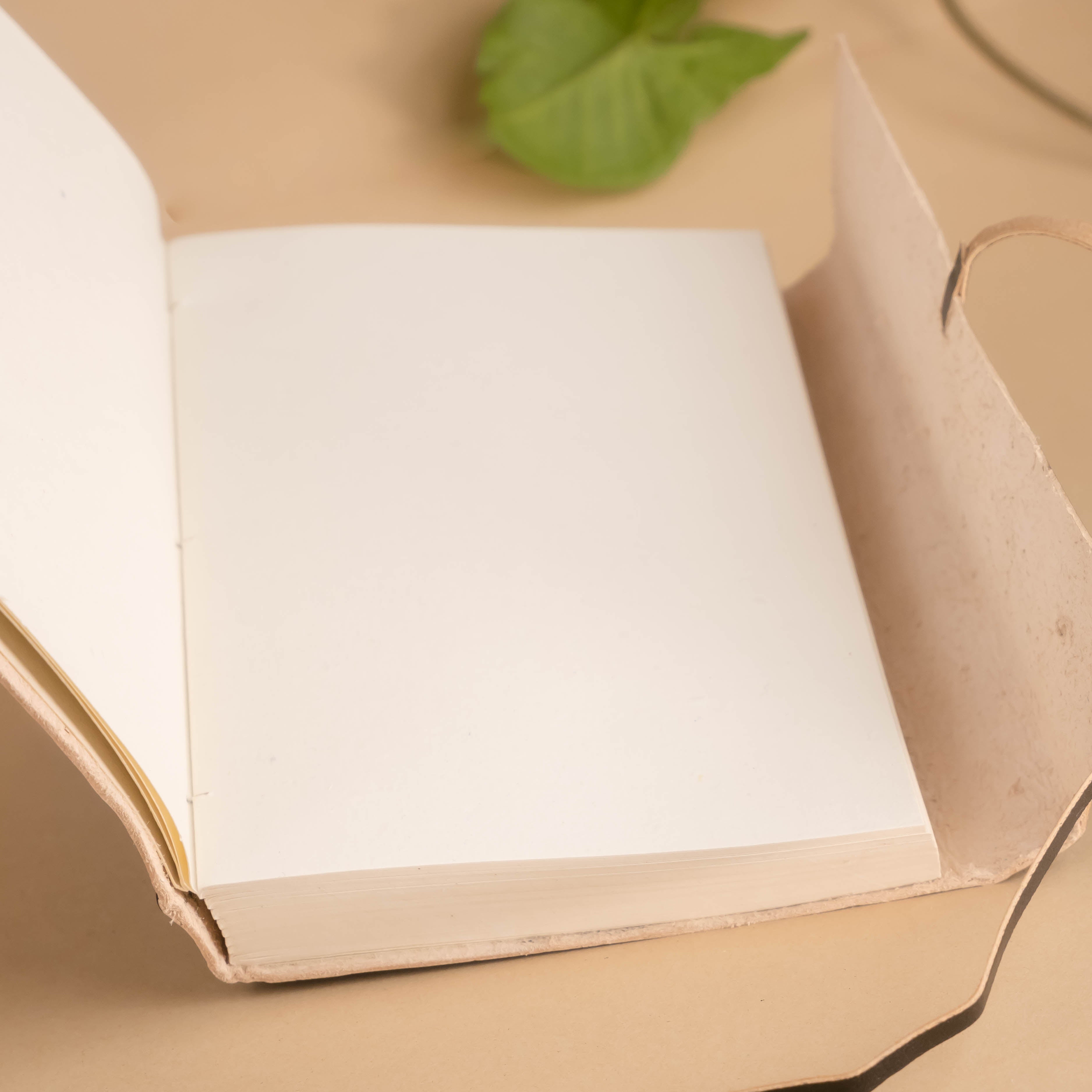 Journal - Thought Canvas