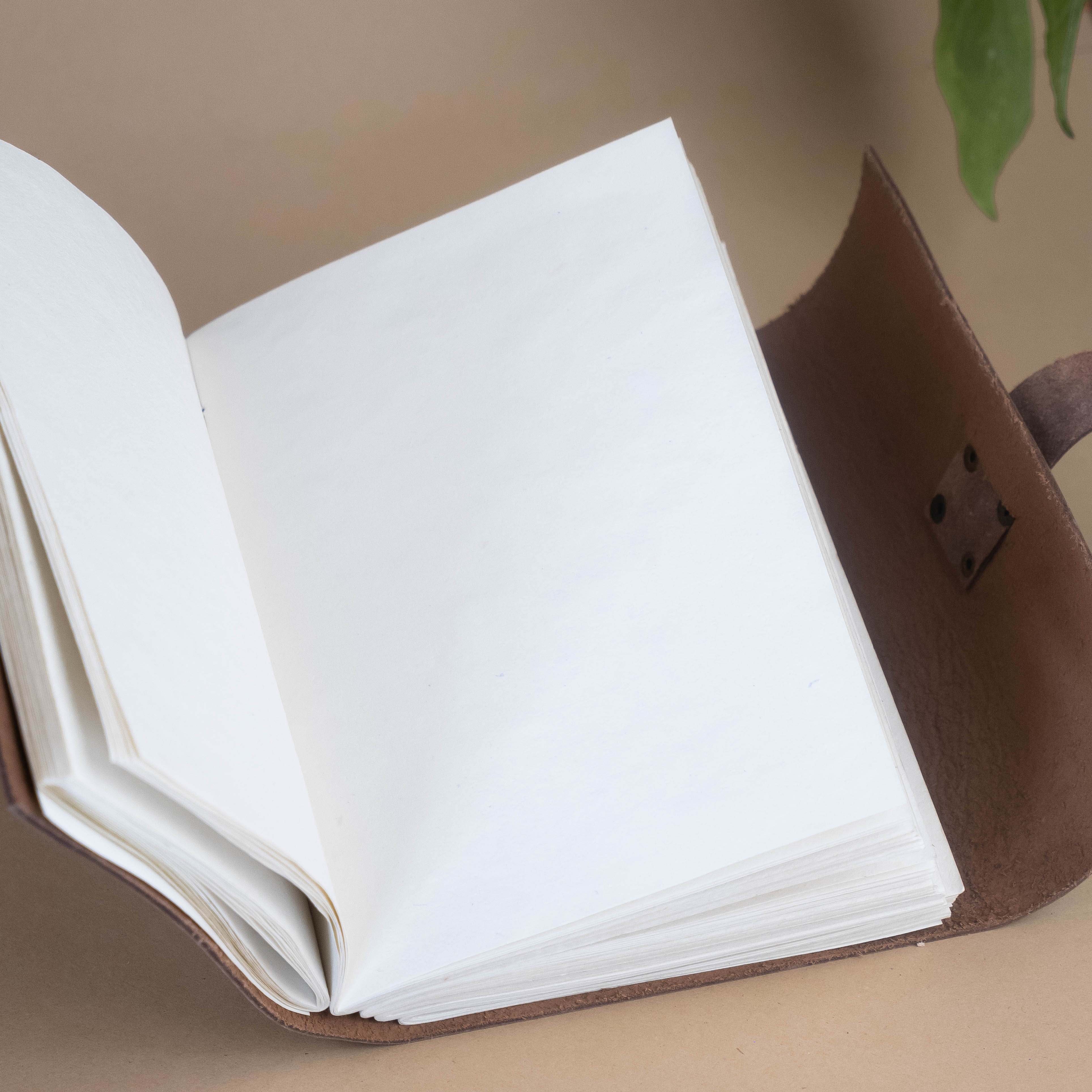 Journal - Insight Ink