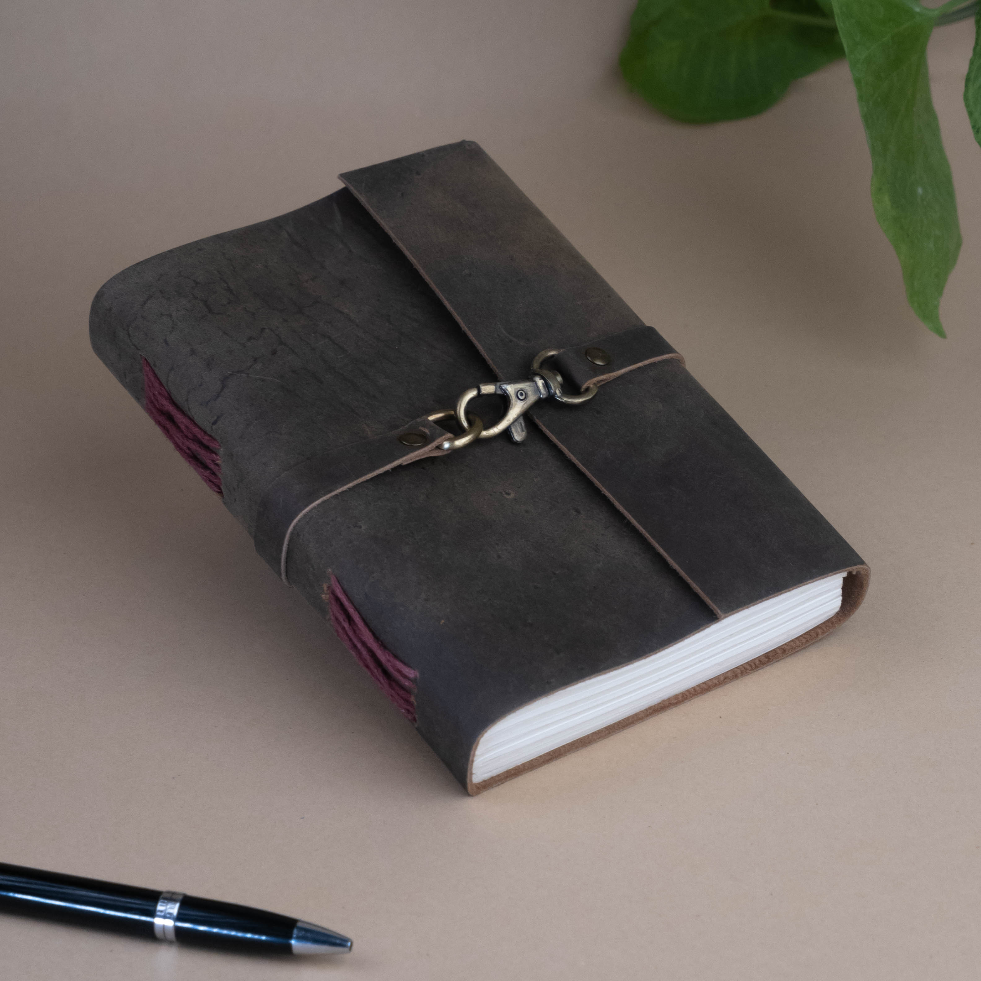 Journal - Echoed Entries