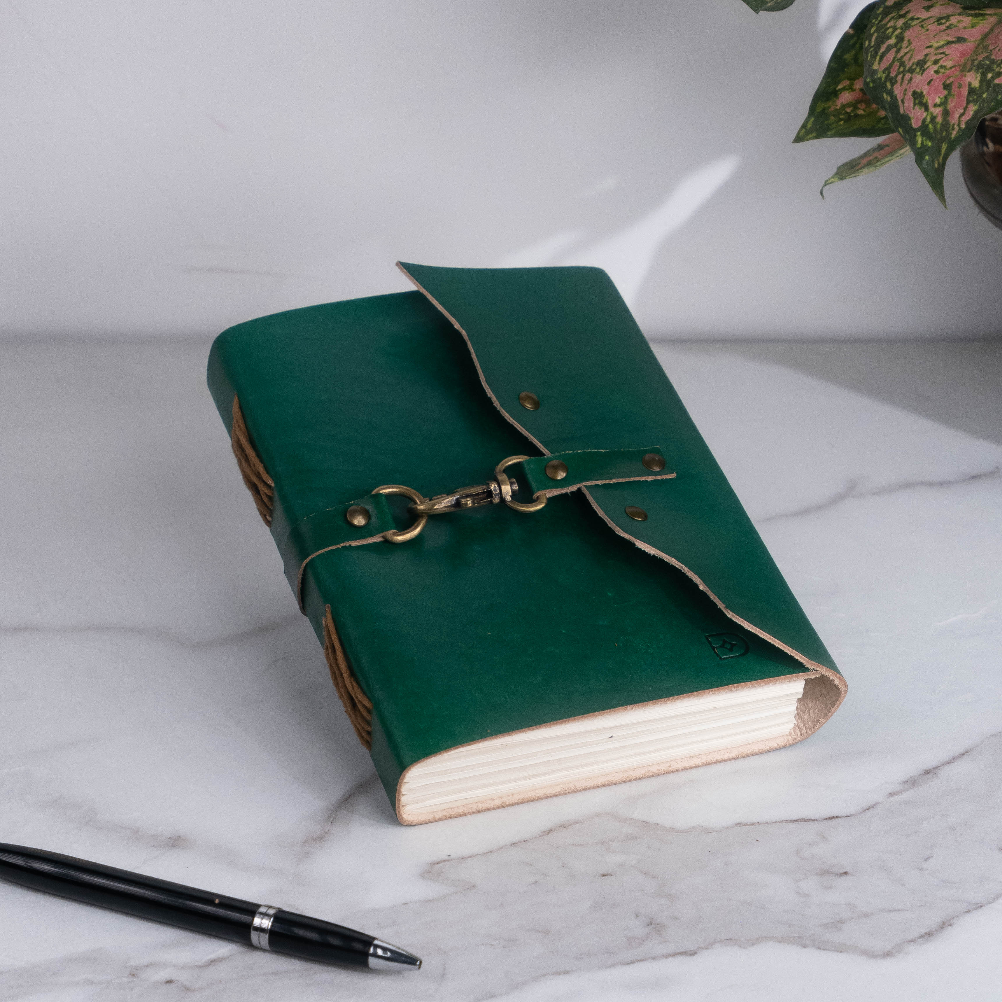 Journal - Echoed Entries